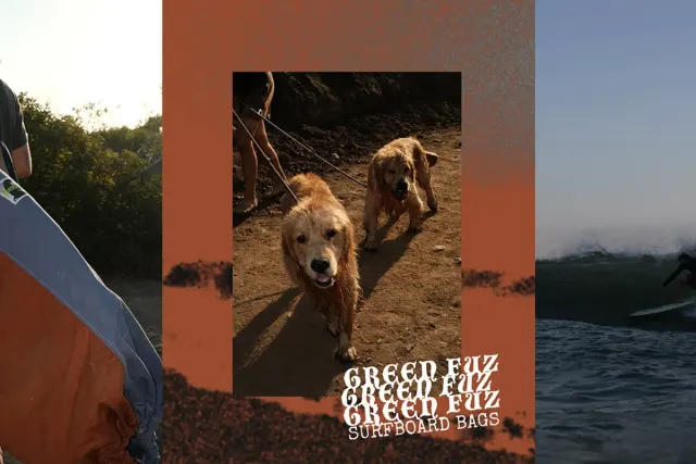 Green Fuz: showing surfboard bags in context